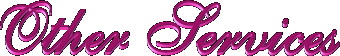 Other Services
